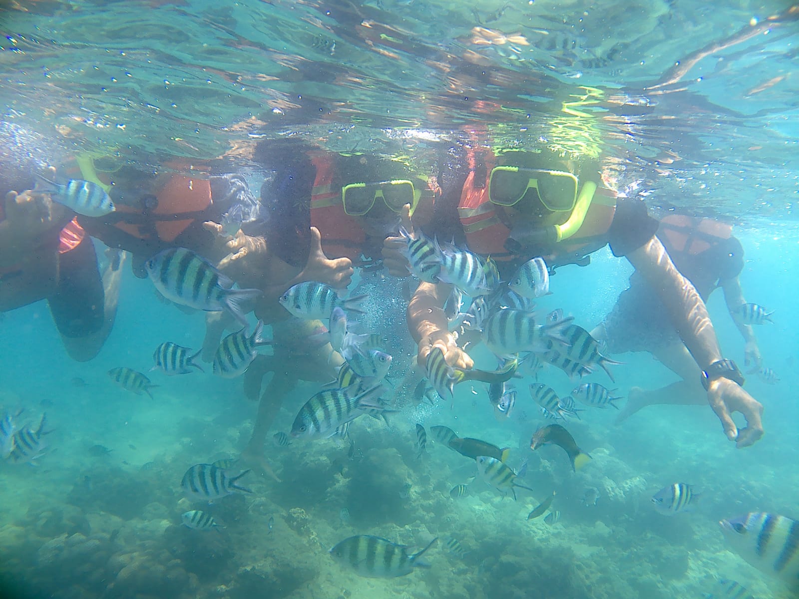 Menyusuri  keindahan bawah laut di Pulau Seribu Jakarta