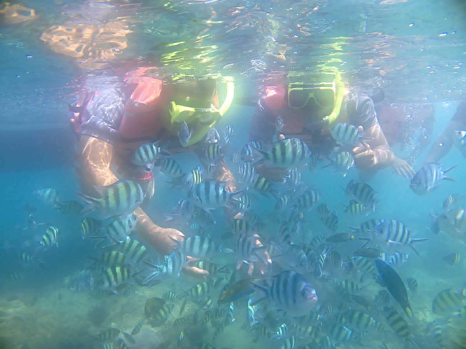 Rekomendasi Pulau seribu untuk Outing Perusahaan